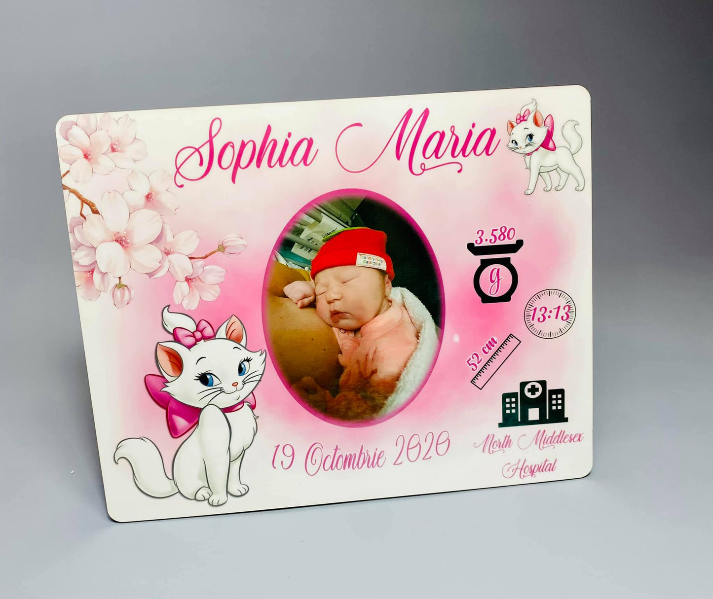 Ramă Pisica Marie cu poză și datele de la naștere